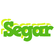 Segar picnic logo