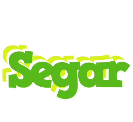 Segar picnic logo