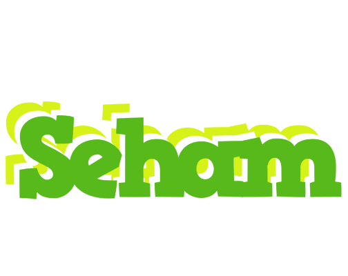 Seham picnic logo