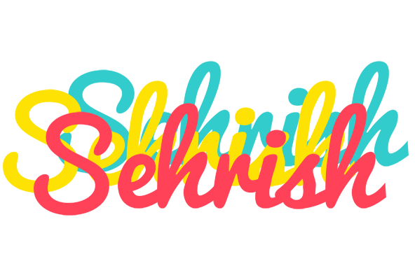 Sehrish disco logo