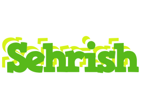 Sehrish picnic logo