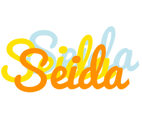 Seida energy logo
