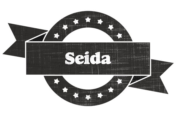 Seida grunge logo