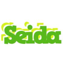 Seida picnic logo