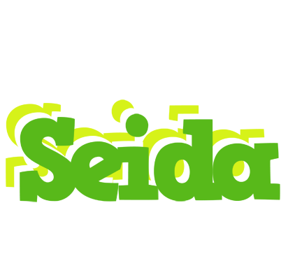 Seida picnic logo