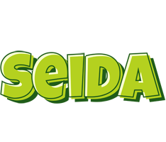 Seida summer logo