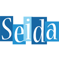 Seida winter logo