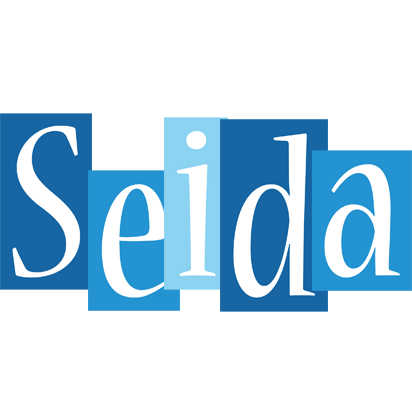 Seida winter logo