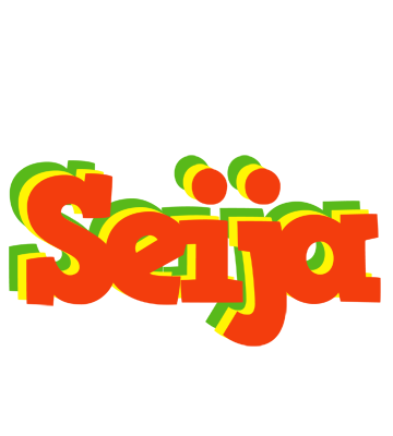 Seija bbq logo