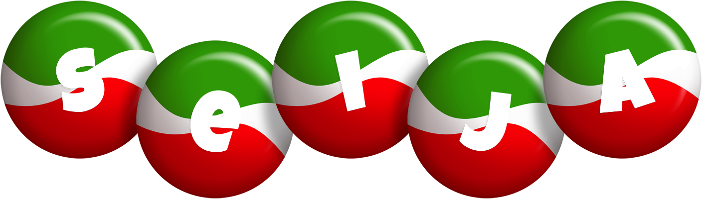 Seija italy logo