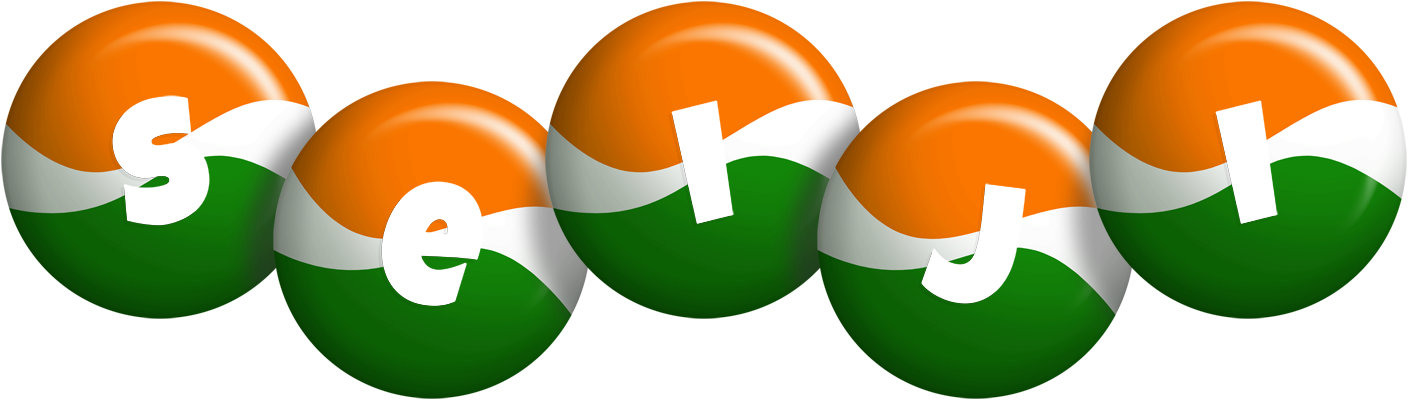 Seiji india logo
