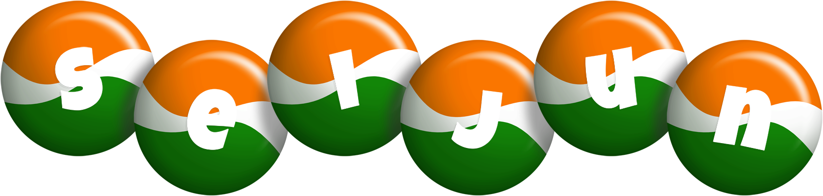 Seijun india logo