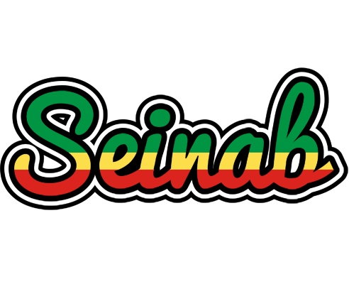 Seinab african logo