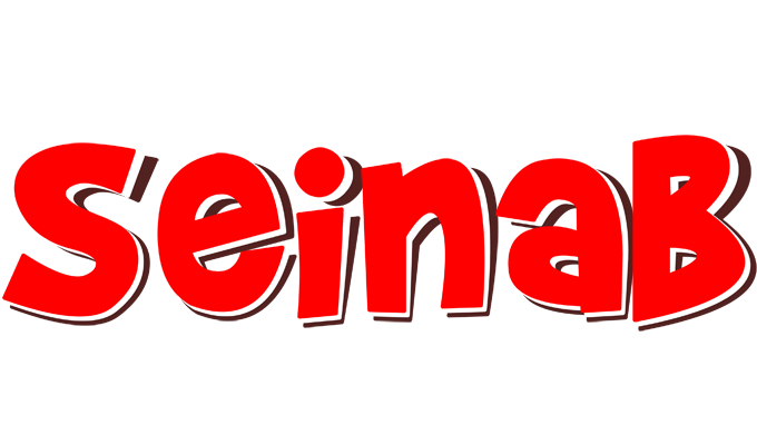 Seinab basket logo