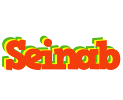 Seinab bbq logo