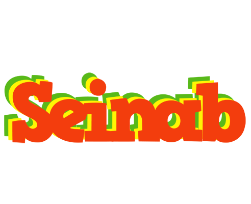Seinab bbq logo
