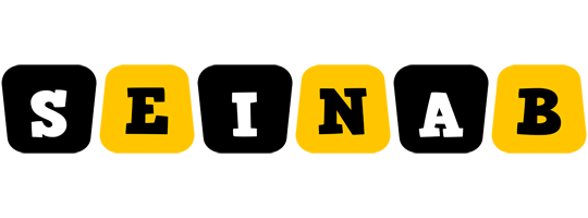 Seinab boots logo