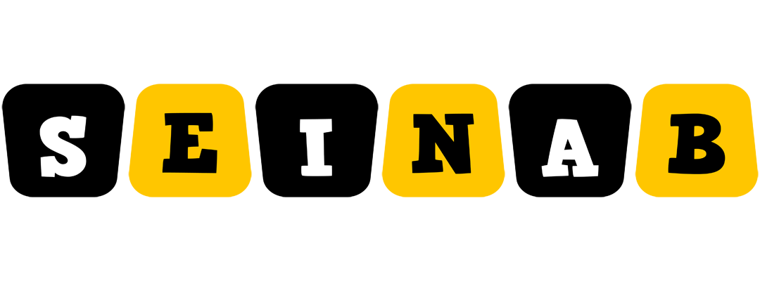 Seinab boots logo