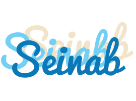 Seinab breeze logo
