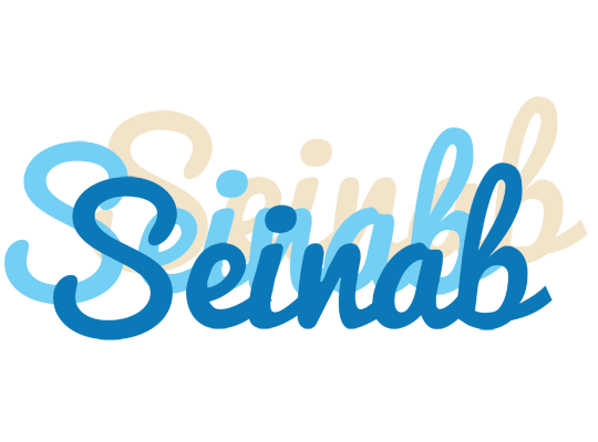 Seinab breeze logo