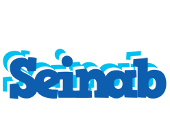 Seinab business logo