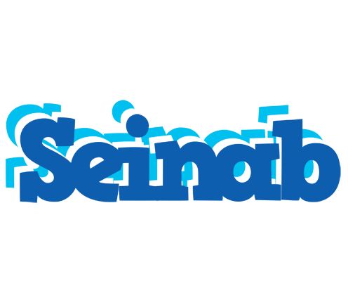 Seinab business logo