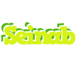 Seinab citrus logo