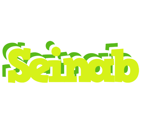 Seinab citrus logo