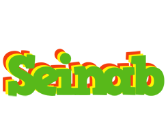 Seinab crocodile logo