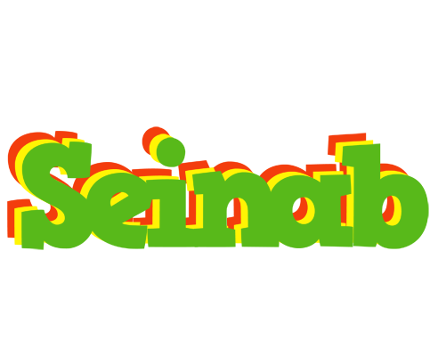 Seinab crocodile logo