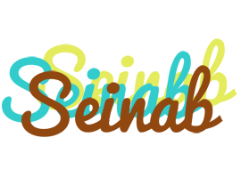 Seinab cupcake logo