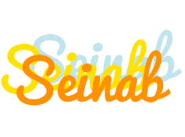 Seinab energy logo