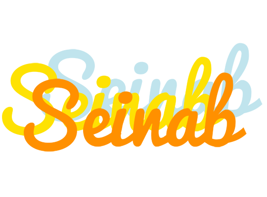 Seinab energy logo