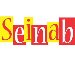 Seinab errors logo