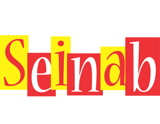 Seinab errors logo