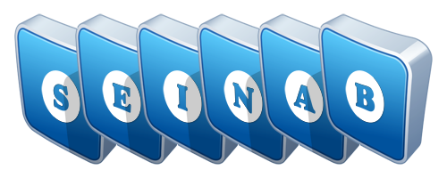 Seinab flippy logo
