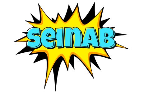 Seinab indycar logo