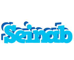 Seinab jacuzzi logo
