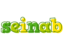 Seinab juice logo
