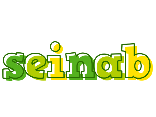Seinab juice logo