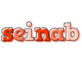 Seinab paint logo