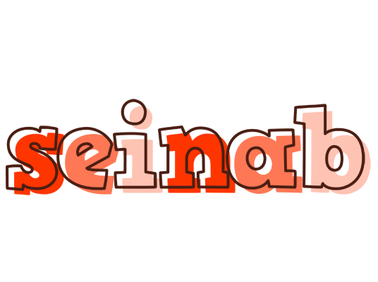 Seinab paint logo