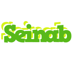 Seinab picnic logo