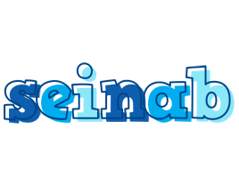 Seinab sailor logo