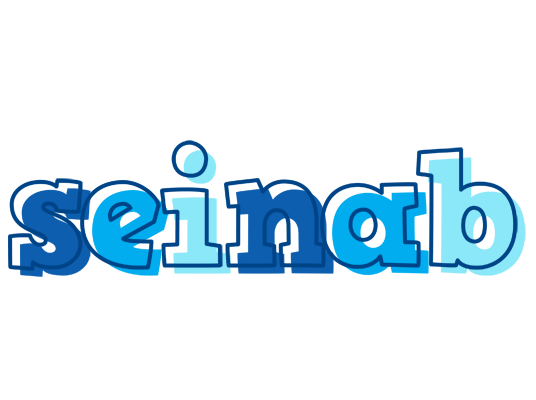 Seinab sailor logo