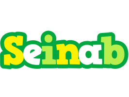 Seinab soccer logo