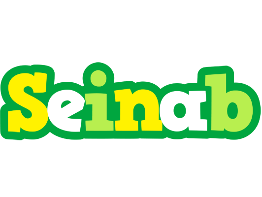 Seinab soccer logo