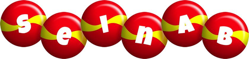 Seinab spain logo