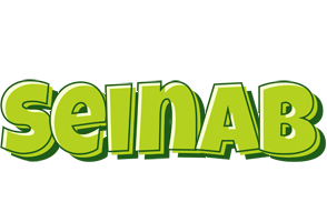 Seinab summer logo
