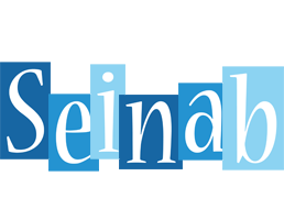 Seinab winter logo